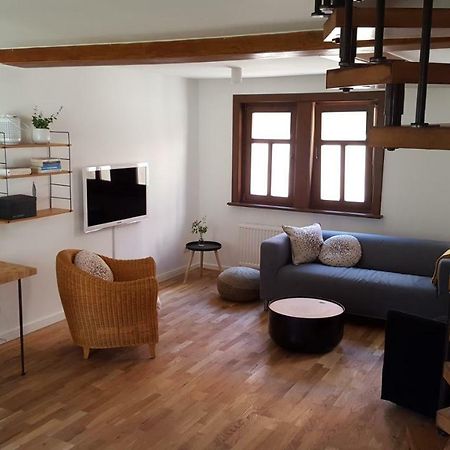 Haus Zum Wilden Manne Villa Erfurt Dış mekan fotoğraf